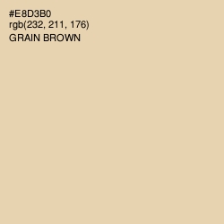 #E8D3B0 - Grain Brown Color Image